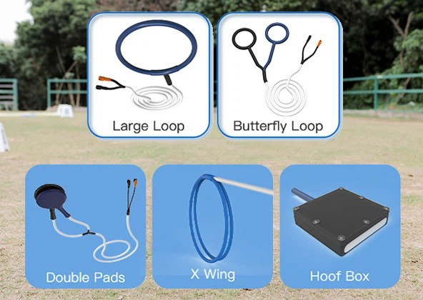 Horse-Specific PEMF Accessories Horse-Specific PEMF Accessories