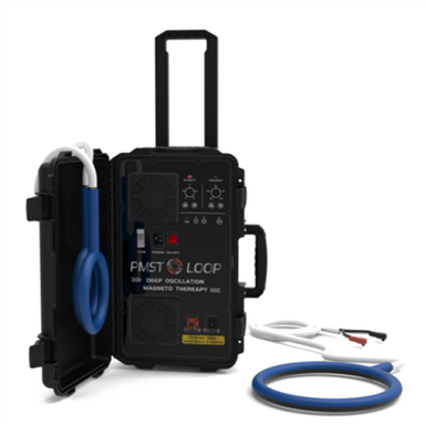 Capall Teiripe Electro Maighnéadach PEMF